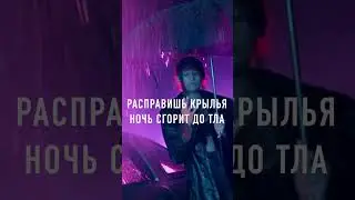 Маяк 232 - Неон #shorts #neonlighting #newsong #synthpop #retropop #80s