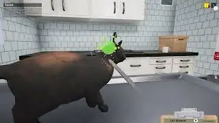 Animal Shelter Simulator: We Got A Vet. #animalsheltersimulator #xbox #cats