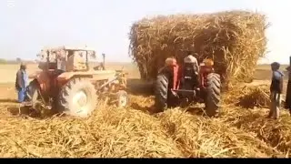 Four TrActor bumpr#trading#a viral video%11121$