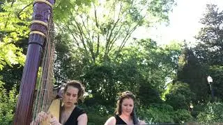 Flightless Bird Iron and Wine American Mouth Harp and Cello Duo from Twighlight Wedding Scene