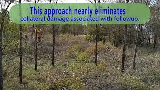 Sand Prairie Restoration Time Lapse