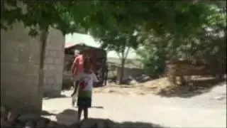 #13 Gripe porcina apunta a un cuadro mayor de riesgos de salud de la granja industrial