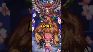 Chopper&rsquo;s Fruit Is Not Normal&hellip; Here&rsquo;s the Proof!  #onepiece #animeshorts #luffy #dracodile