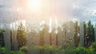 RAIN SOUNDS FOR DEEP SLEEP RELAXING RAIN AMBIENCE ALL NIGHT
