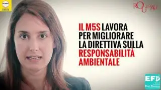 ROUSSEAU: LA DIRETTIVA SUL DANNO AMBIENTALE (Laura Ferrara, Efdd - M5S)