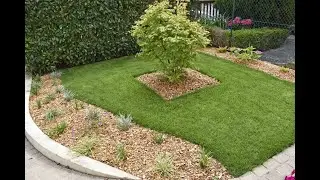 Patios Limpios