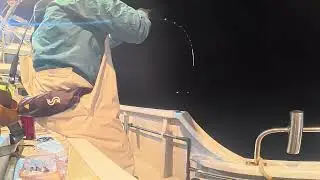 2026 1 16 愛海丸　しんや5