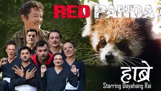 RED PANDA STARRING DAYAHANG RAI | हाब्रे | PSA | RED PANDA NETWORK | NEPAL
