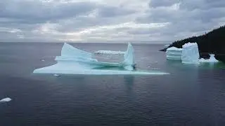 Seal Cove White Bay Iceberg
