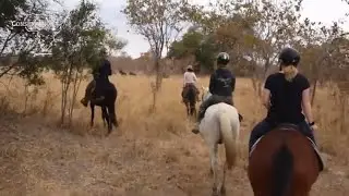 Horse Riding & Rhino Conservation, Zimbabwe