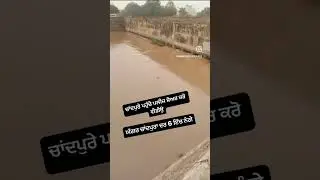 Chandpura ghagger waterlevel #waterlevel #flood #wateroverflow