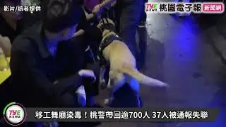 移工舞廳染毒！桃警帶回逾700人 37人被通報失聯