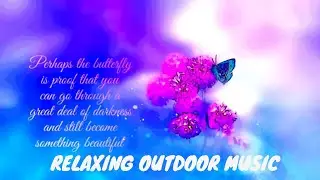 Beautiful Butterfly Music | Outdoor Activity | Sweeter Than Bubble Bee