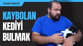 Kaybolan Kedimi Nasıl Buldum? | Deneyimlerim #9
