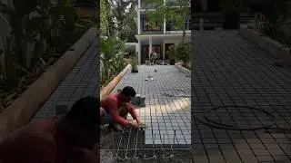 cobble stone laying.