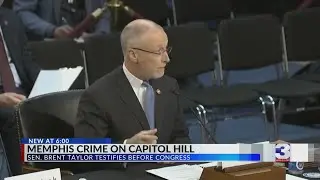 Taylor details Memphis crime crisis in congressional hearing