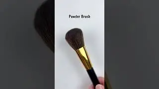 6 Makeup Essentials Every Beginner Needs