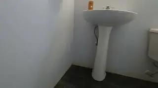 Downstairs bathroom walkthrough