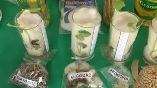 FEIRA DE CIÊNCIAS ENSINO FUNDAMENTAL