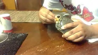 my bond between boy and turtle