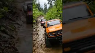 RC Truck Proves Its Power in Muddy Wilderness | RC Truck Forest Crawl Through Thick Mud