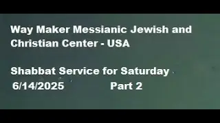 Parashat Beha'alotecha - Shabbat Service  for 6.14.25 - Part 2