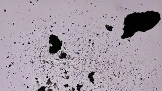 coobz /// THAT BOY FROM THE MOON /// album teaser