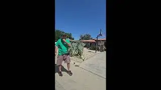Bronze Star Moving & Sunstate Movers, Evergreen Relocation LLC FMCA Complaint 360p