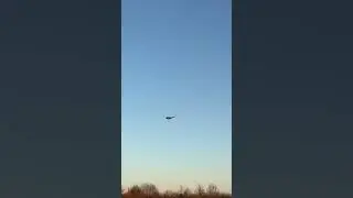 F-14 Low pass | Nick