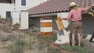 Part 1 Harvesting Your Honey