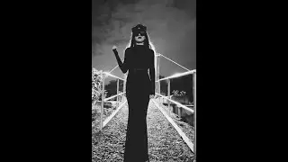 Mia Z - Stray Cat