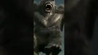 Evolution of superheroes animals #subscribe #subscribe #animals #animals #animalkingdom