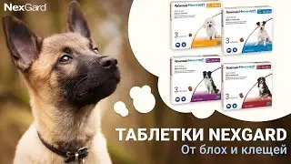 Таблетки NexGard от блох и клещей для собак