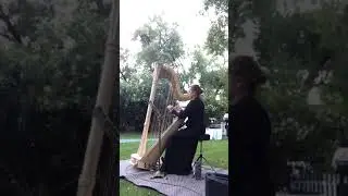 Wedding Ceremony Harp Music Bridal Entrance/Prelude Live