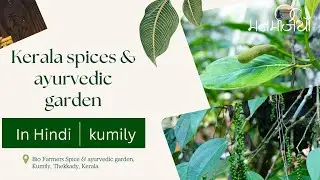 know Kerala Spices #ayurvedic Gardens| information in Hindi| ayurvedic plants| Cloves, ilaichi, rudr