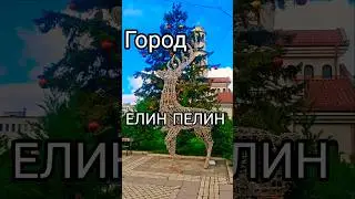 Новогоднее убранство города Елин Пелин Болгария#travel #bulgaria #tourism #tourist #citiesofbulgaria