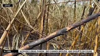 15 hectares de cannes sont partis en fumée à Bras Panon hier.