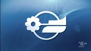 [Italia] Canale 5 Pubblicit&agrave; (29 Gennaio 2026) | [Italy] Canale 5 Ad Breaks (29th of January, 2026)