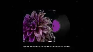 ALL.IN - Violet Decay