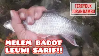 Joran Bambu Karuhun, Si Penakluk Emaknya Nilem Babon