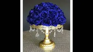 A beautiful blue roses