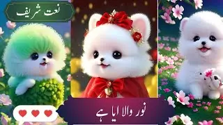   Cute Cat Naat | Noor Wala Aaya Hai 🐱✨ | Heart Touching Islamic Cat Video