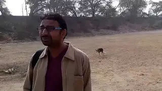 Badhkal Lake in bad condition