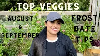 Top Veggies to Plant in August & September | Frost Date Tips!
