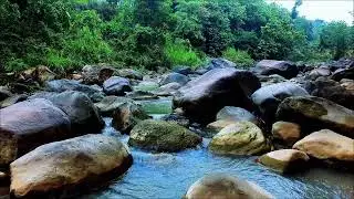 Deep Sleep River Sounds Flowing Gently Past Soft Sand and Polished River Rocks