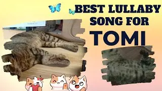 BEST LULLABY SONG FOR TOMI (JAPANESE SONG)