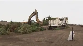 Need to recycle your Christmas Tree? Here's where you can go.