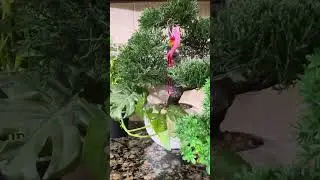 ଲକ୍ଷ୍ମୀ (Lakshmi) || odia || odia katha || odia gapa || samaja sudharaka barta