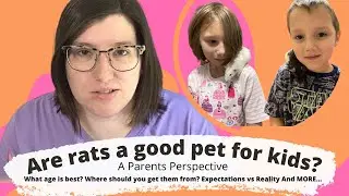 Are Rats a Good Pet for Kids?