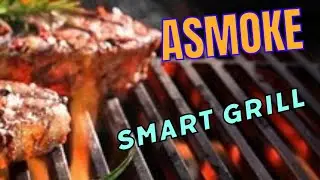 ASMOKE Essential Portable Grill